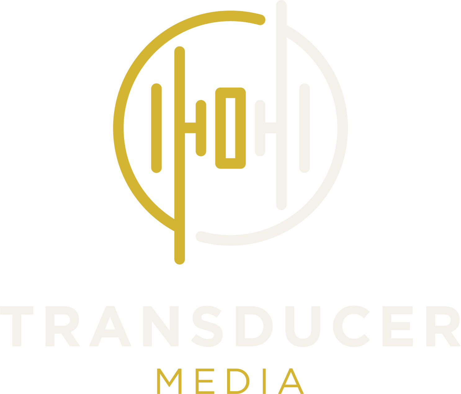 Transducer Media